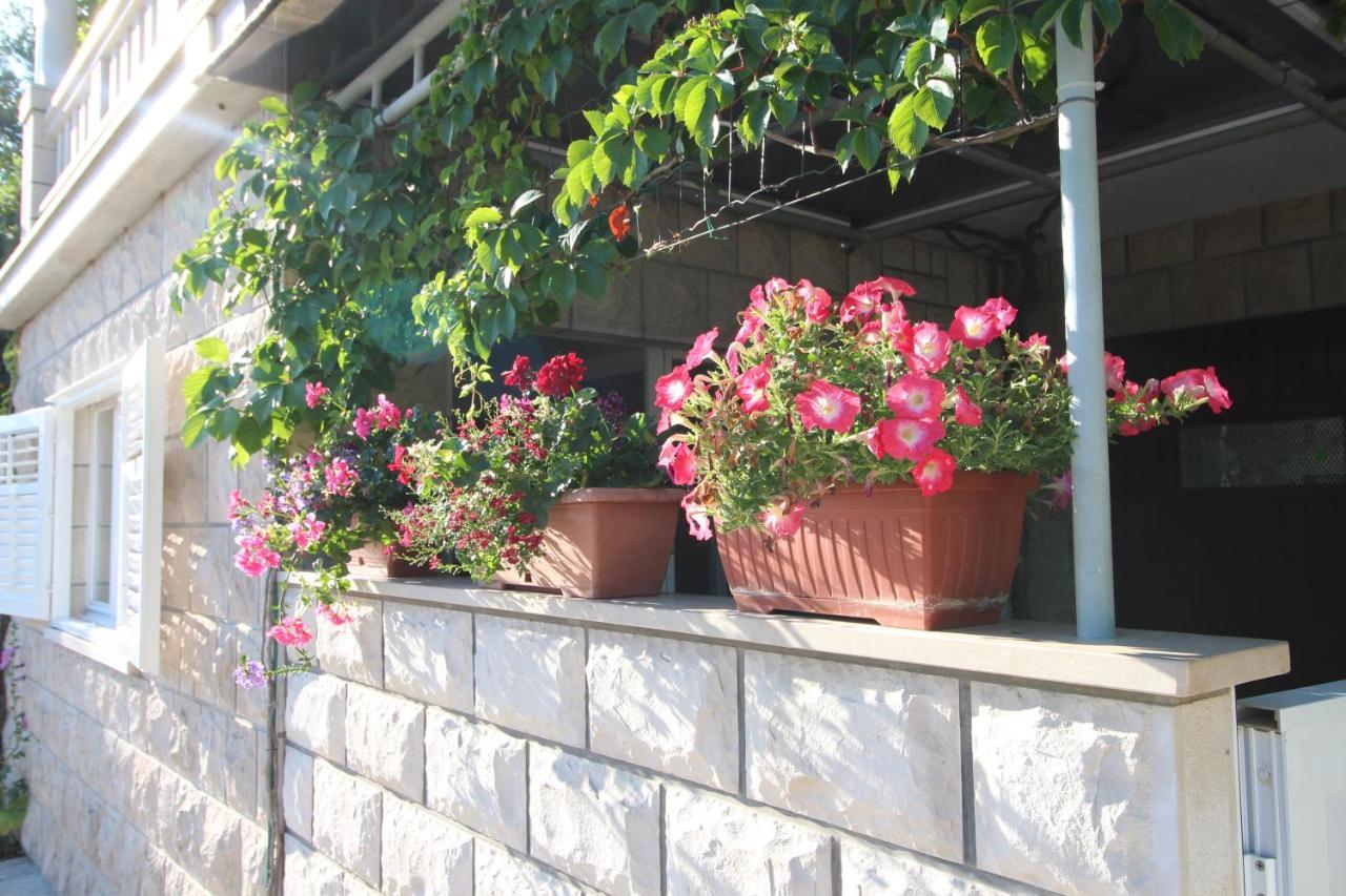 Apartment Ruzica Zrnovo Bagian luar foto